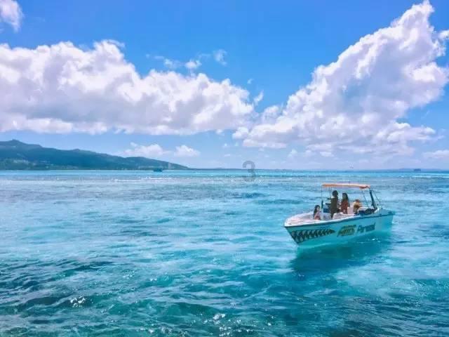 逃离森林湖畔